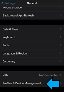 Go to Settings > General > Profiles and Device Management and tap on DoD Root CA 3