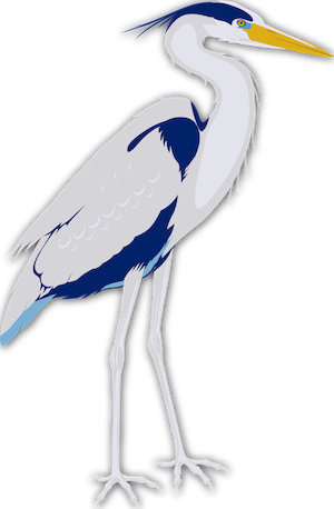 graphic blue heron