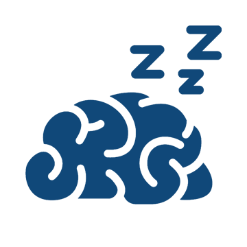sleeping brain