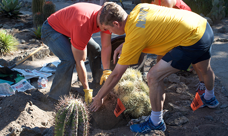 NPS Students Participate in Arizona Garden Rehab
