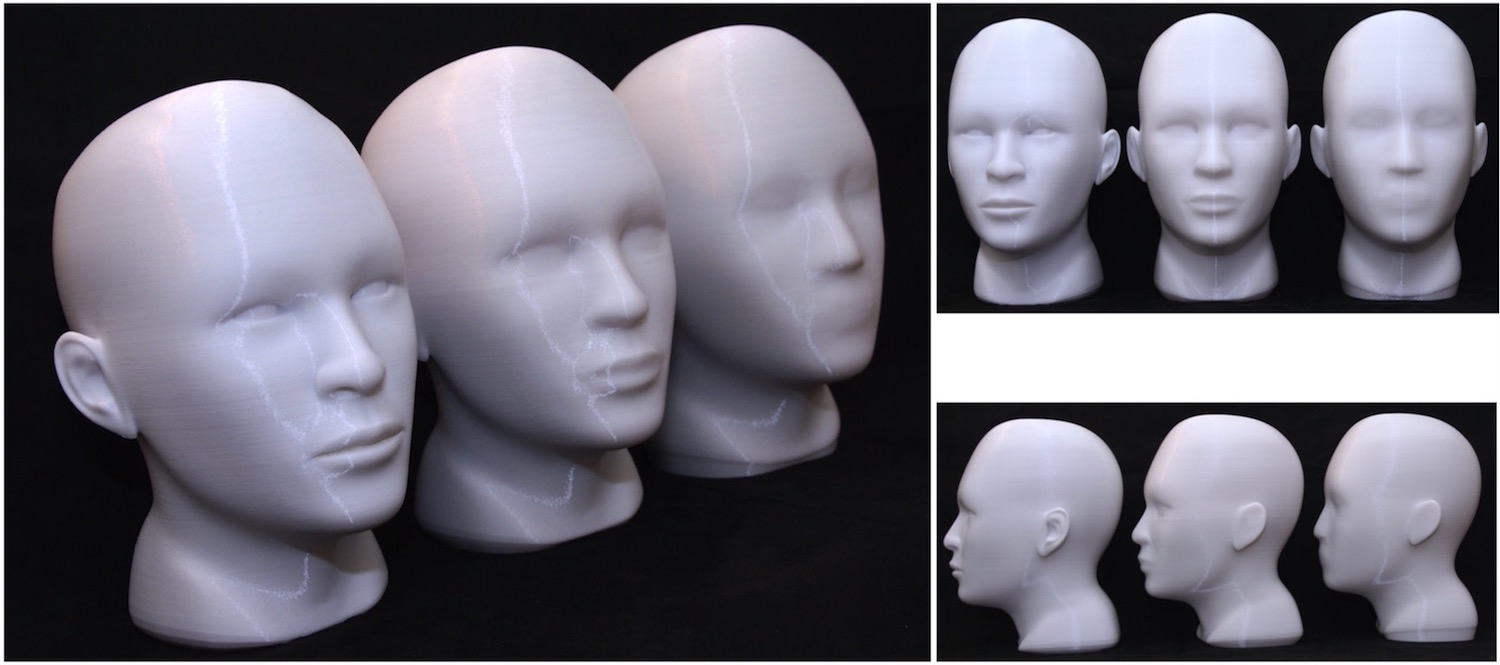 3D printed models of human heads in support of research done by Dr. A. Sadagic (Jun 2013)